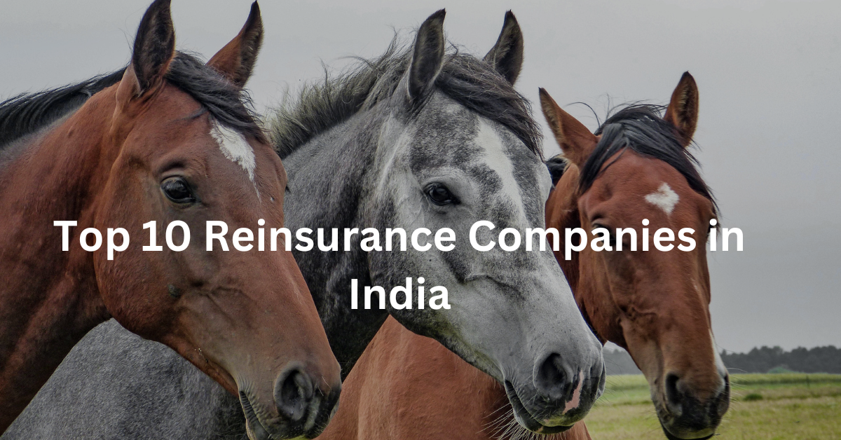 Top 10 Reinsurance Companies in India